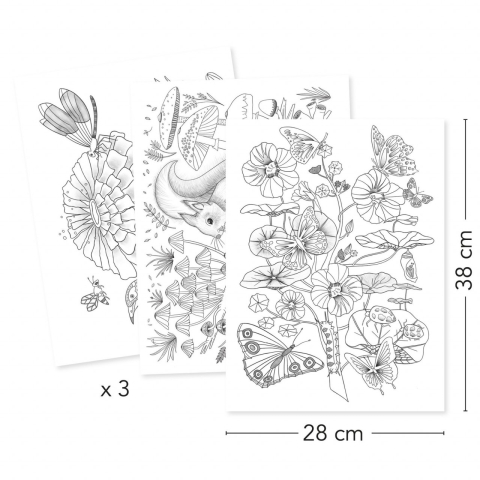 Mapa cu 3 postere de colorat Natura, Djeco [1]