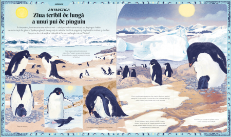 Cartea anotimpurilor - O calatorie prin natura fascinanta a lumii, 3-9 ani [5]