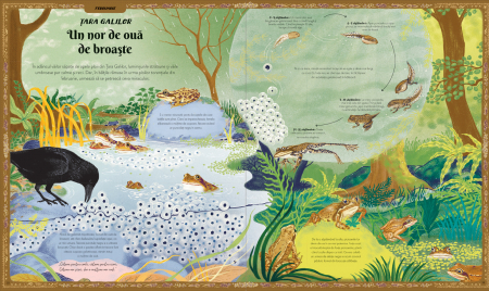 Cartea anotimpurilor - O calatorie prin natura fascinanta a lumii, 3-9 ani [4]
