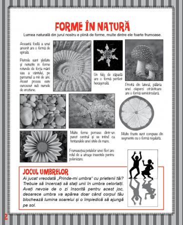 Matemagia - Forme: Cum sa le construiesti si povestile din spatele lor, DPH, 6-7 ani + [3]