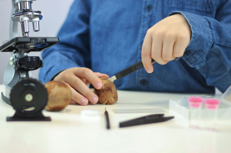 Microscop - 30 experimente, BUKI France, 8-9 ani + [6]