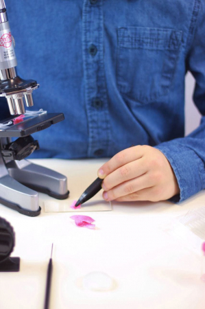 Microscop - 30 experimente, BUKI France, 8-9 ani + [7]