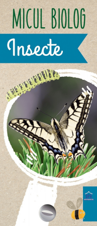 Jucarii educative 8 - 9 ani - Micul Biolog - Insecte, DPH, 6-7 ani +