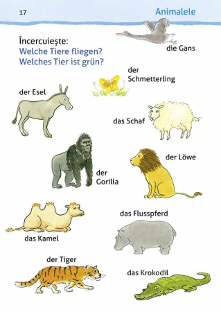 Micul meu dictionar german interactiv, DPH, 4-5 ani + [6]