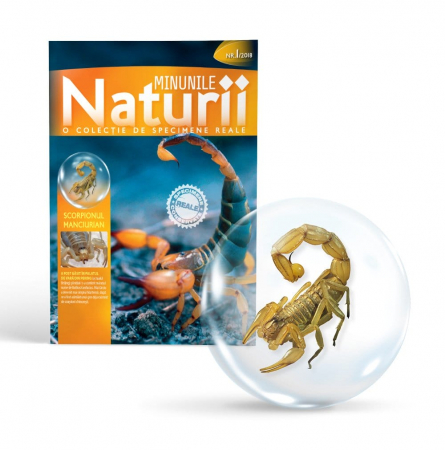 Jucarii si jocuri copii - MINUNILE NATURII VOL.1 - SCORPIONUL MANCIURIAN