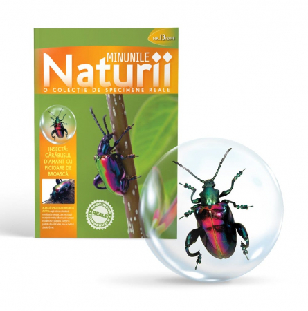 Jucarii baieti - MINUNILE NATURII VOL.13 - CĂRĂBUŞUL DIAMANT