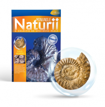 Jucarii baieti - MINUNILE NATURII VOL.15 - AMONIT