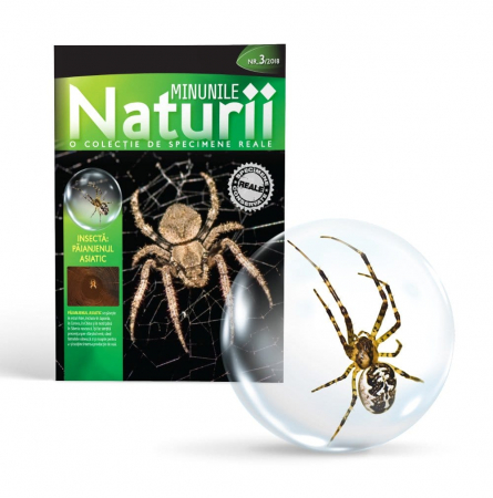 MINUNILE NATURII VOL.3 - PĂIANJENUL ASIATIC