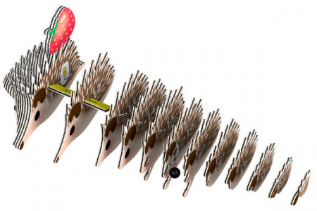 Model 3D - Arici, Brainstorm, 6-7 ani + [4]