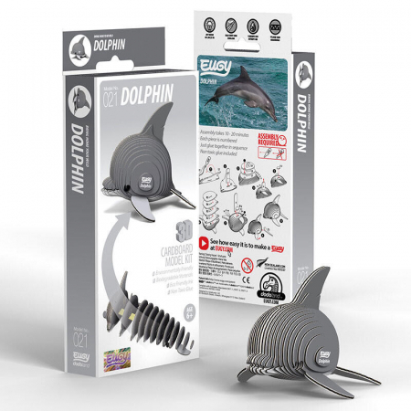 Jucarii si jocuri copii - Model 3D - Delfin, Brainstorm, 6-7 ani +