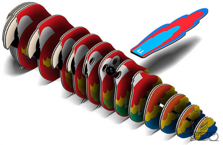 Model 3D - Papagal, Brainstorm, 6-7 ani + [2]