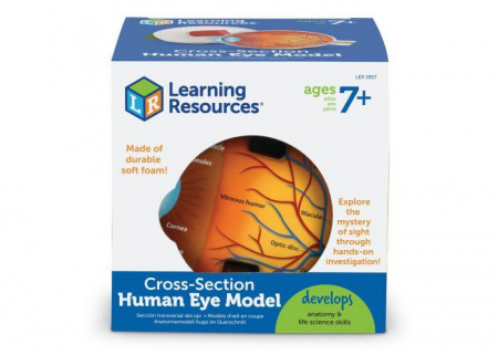 Jucarii baieti - Model sectiune - Ochiul, Learning Resources, 6-7 ani +