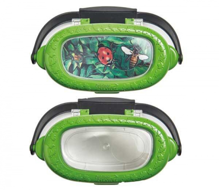 Observatorul pentru insecte, Brainstorm, 6-7 ani + [2]