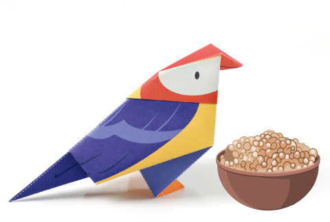 Origami - Animale de companie - nivel 1 [4]