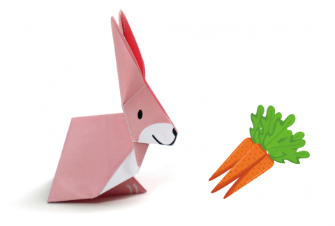 Origami - Animale de companie - nivel 1 [6]