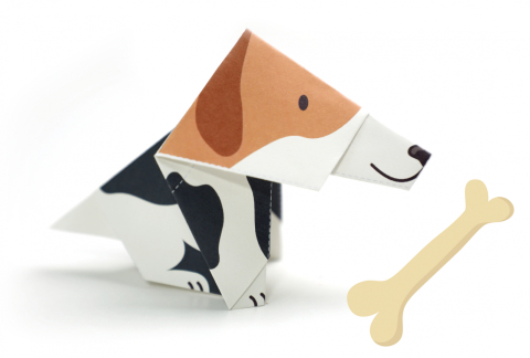 Origami - Animale de companie - nivel 1 [9]