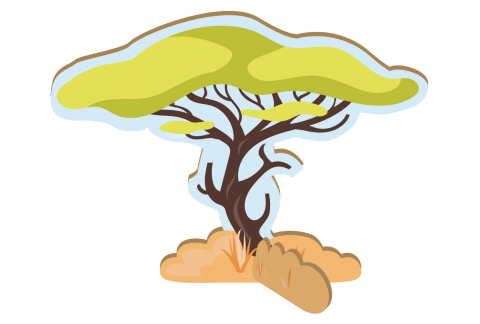 Origami - Zoo - nivel 2 [5]