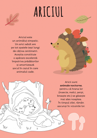 Padurea - Activitati si abtibilduri [4]