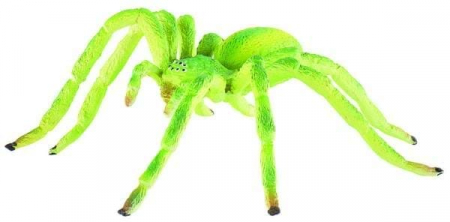 Paianjen verde Micrommata, Bullyland, 2-3 ani + [1]