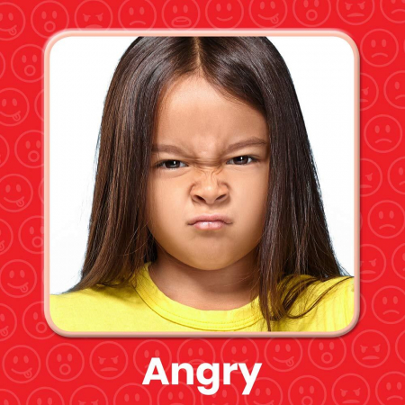 Panoul emotiilor, Hand2Mind, 2-3 ani + [3]