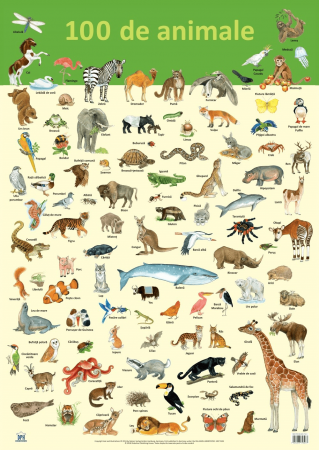 Carti educative - Plansa - 100 de animale, DPH, 4-5 ani +