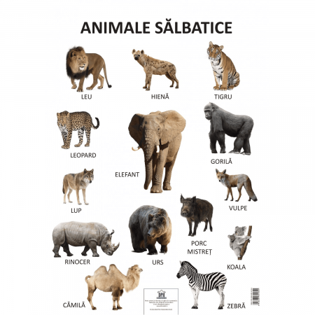 Carti educative - Plansa - Animale salbatice, DPH, 2-3 ani +
