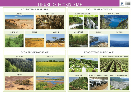 Carti educative - Plansa - Tipuri de ecosisteme, DPH, 4-5 ani +