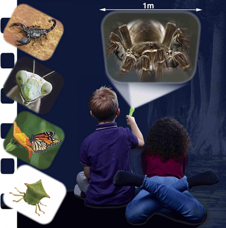 Proiector tip lanterna - Insecte, Natural History Museum, 2-3 ani + [3]