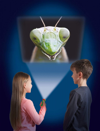 Proiector tip lanterna - Insecte, Natural History Museum, 2-3 ani + [4]
