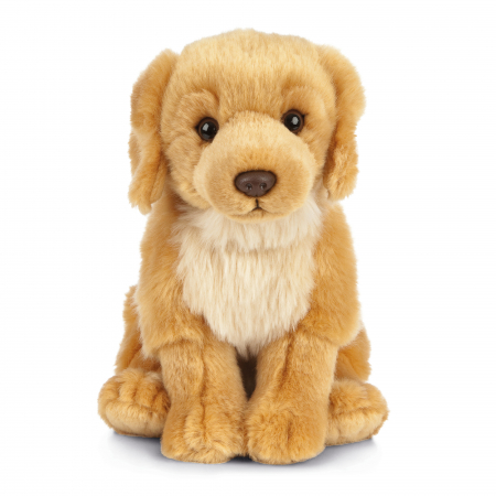 Jucarii bebelusi - Catelus de plus Golden Retriever 20 cm, Living Nature