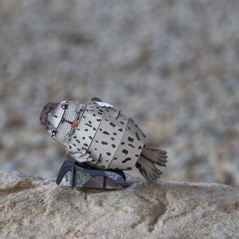 Puzzle 3D cu sunete - Foca, Build  n  Sound [6]