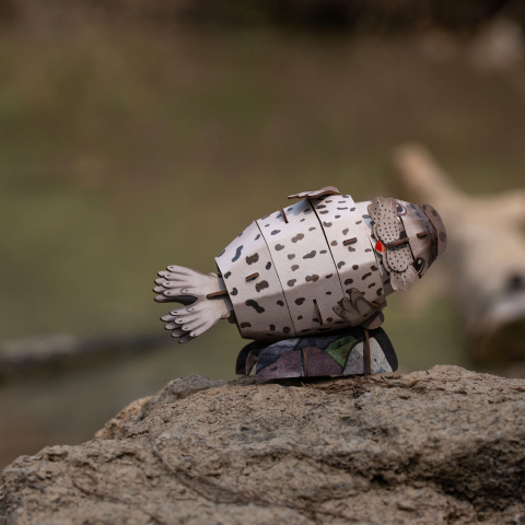 Puzzle 3D cu sunete - Foca, Build  n  Sound [5]