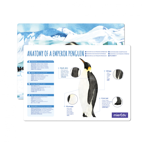 Puzzle 3D reglabil - Pinguin Imperial (deluxe) [2]