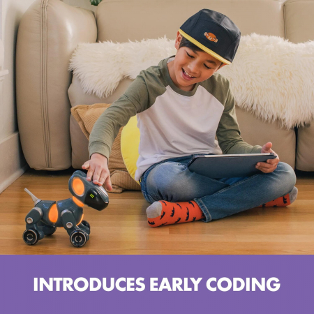 Pyxel - Prietenul programatorului, Educational Insights, 8 ani+ [3]