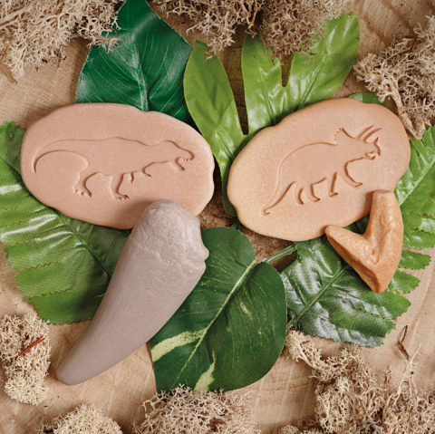 Sa investigam! - Dinti preistorici [5]