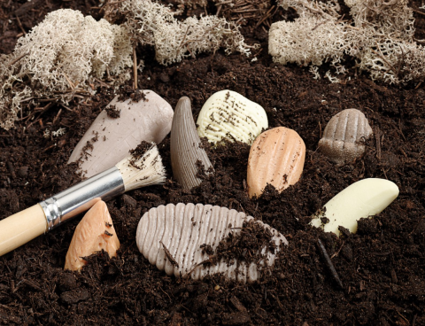 Sa investigam! - Dinti preistorici [9]