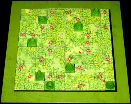 SCARABYA, Blue Orange, 10-11 ani + [2]