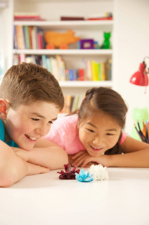 Set complet de experimente pentru crescut Cristale, 4M, +10 ani [8]