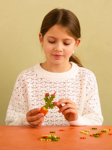 Set constructie Plus-Plus, PLANTE - Cactus [3]