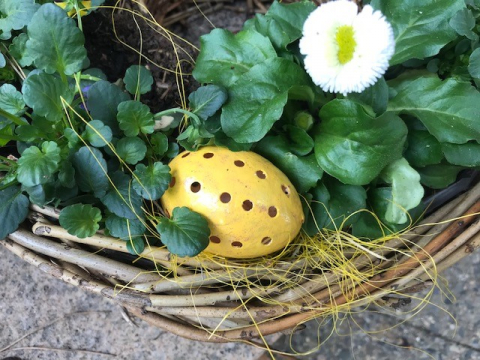 Set creativ Decorare Oua de Paste prin gravura, Pebaro, +8 ani [5]