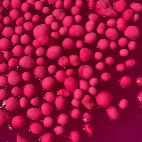 Set DIY experimente SLIME, MAGIC PINK XL [9]