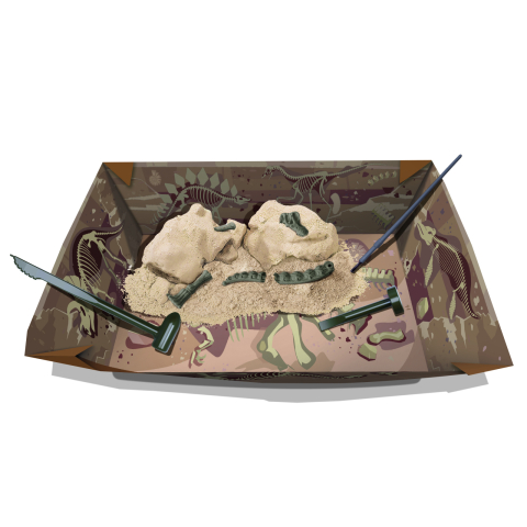 Set educativ Sapa si descopera Dinozauri - Brachiosaurus [2]