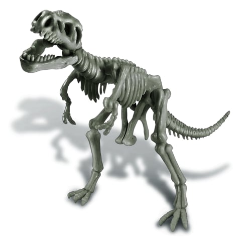 Set educativ Sapa si descopera Dinozauri - T-Rex [8]