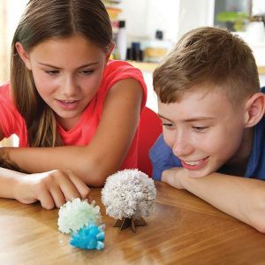 Set experimente de crescut cristale - Stiinta Cristalelor, 4M, +14 ani [2]