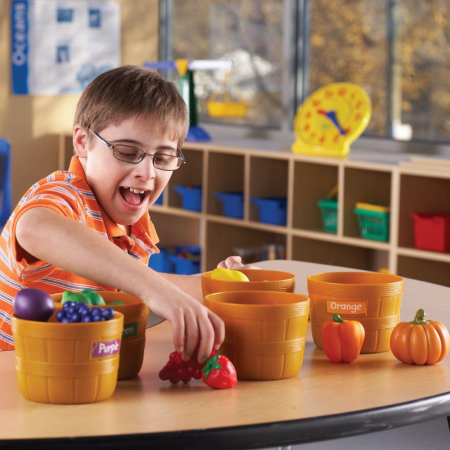 Set pentru sortat - Magazinul fermierului, Learning Resources, 0-1 ani + [3]