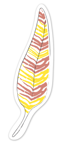 Set pictura cu apa - semne de carte Pasari, colectia Creatii Naturale [9]