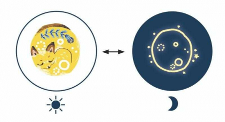Tatuaje Djeco fluorescente, Vise frumoase, 2-3 ani + [1]