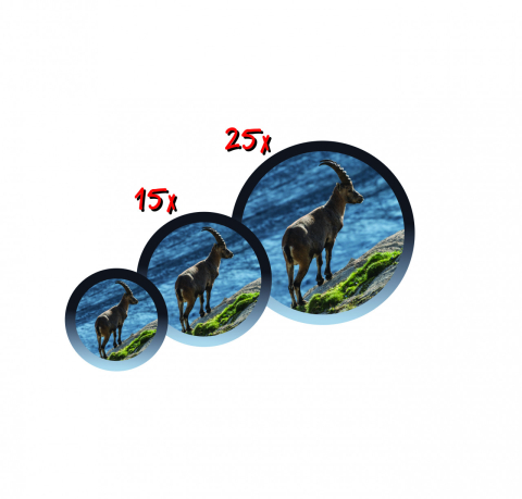 Telescop cu tripod Navir [3]