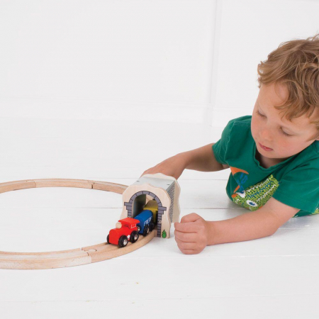 Tunel din lemn, BIGJIGS Toys, 2-3 ani + [3]