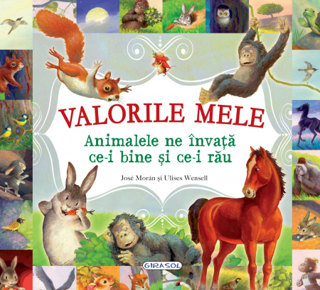 Vârsta - Valorile mele. Animalele ne invata ce-i bine si ce-i rau, GIRASOL, 4-5 ani +